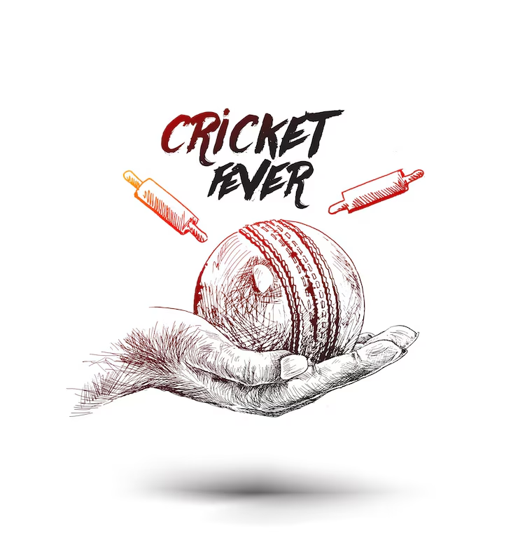 About Daily Wickets